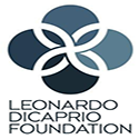 Leonardo DiCaprio Foundation