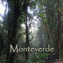Monteverde Cloud Forest